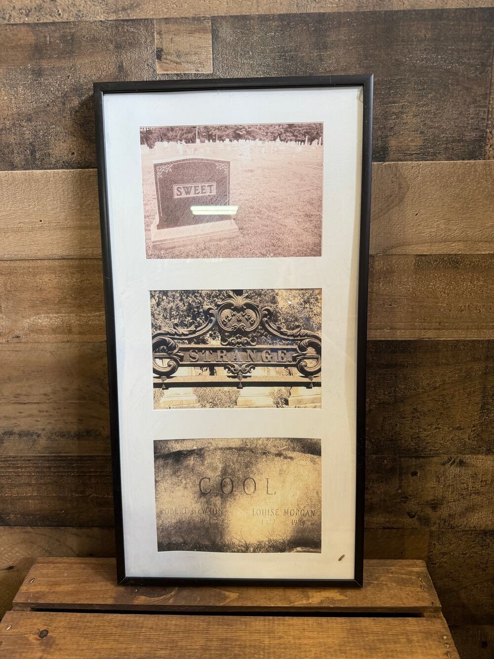 Framed Cemetery Gravestone Triptych Print - Sweet Strange Cool Sepia Art - 11x20